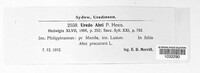 Image of Uredo abri
